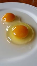 Willow Zen eggs